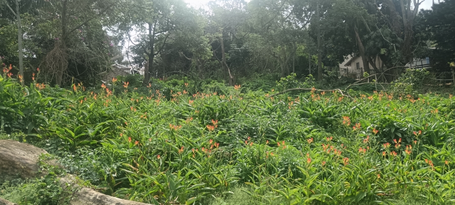 0 Bedroom Property for Sale in Umtentweni KwaZulu-Natal