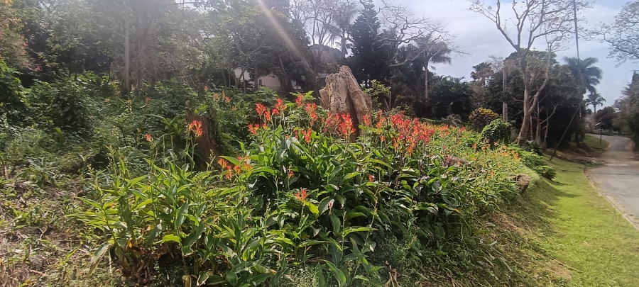 0 Bedroom Property for Sale in Umtentweni KwaZulu-Natal