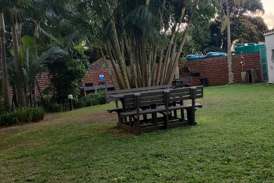 To Let 3 Bedroom Property for Rent in Musgrave KwaZulu-Natal