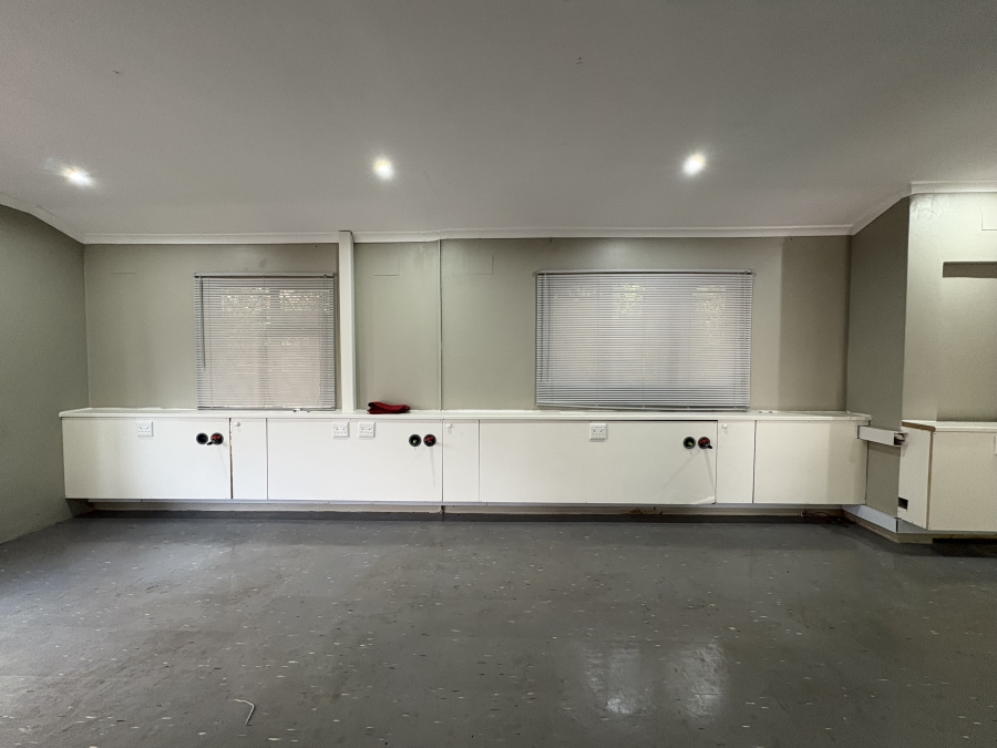 To Let commercial Property for Rent in Musgrave KwaZulu-Natal