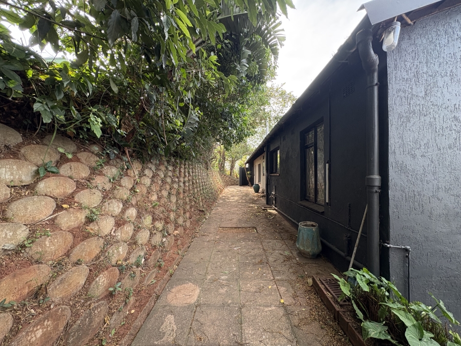 To Let commercial Property for Rent in Musgrave KwaZulu-Natal
