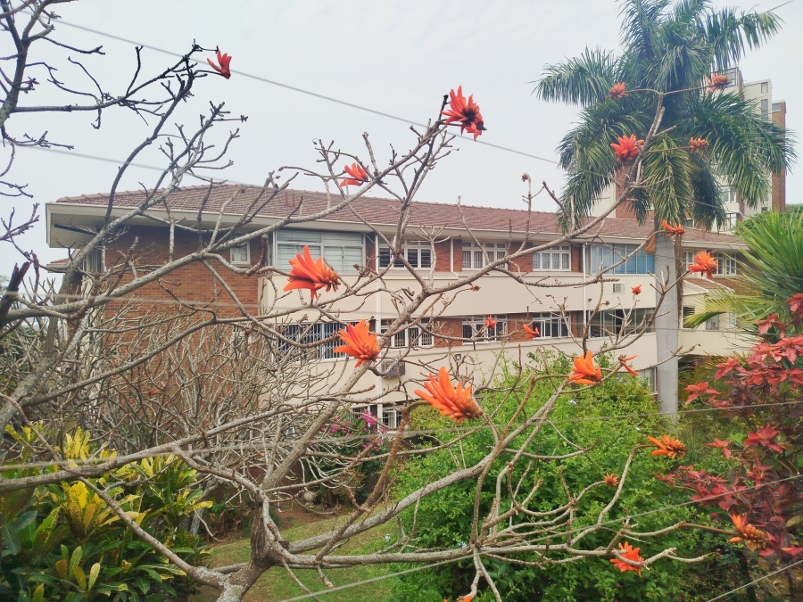 3 Bedroom Property for Sale in Musgrave KwaZulu-Natal