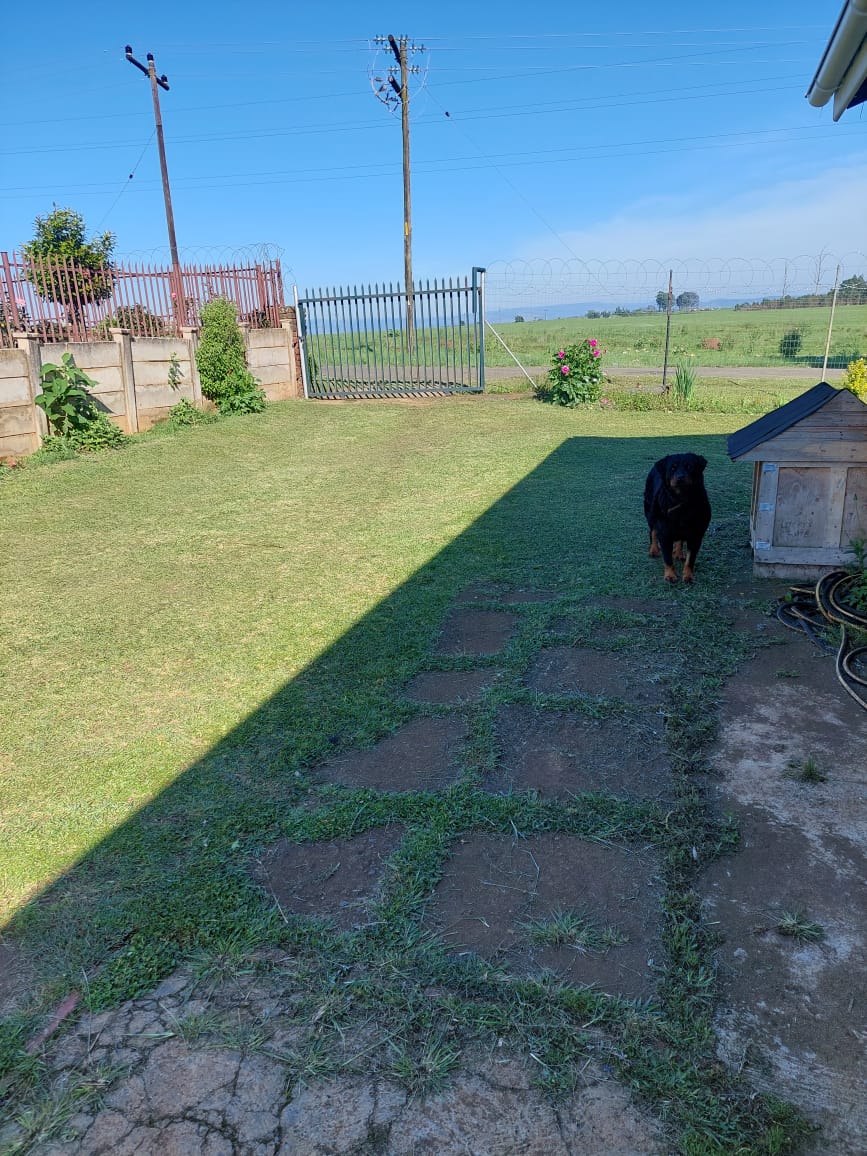 To Let 3 Bedroom Property for Rent in Howick West KwaZulu-Natal