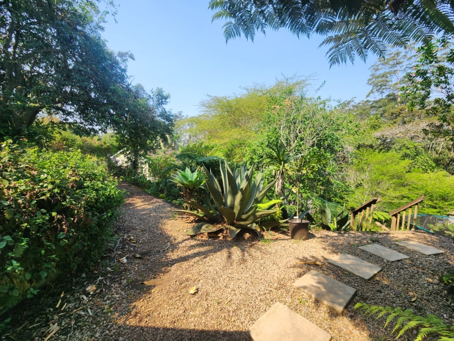 To Let 3 Bedroom Property for Rent in Gillitts KwaZulu-Natal