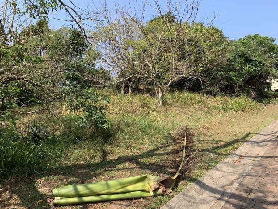 0 Bedroom Property for Sale in Pennington KwaZulu-Natal