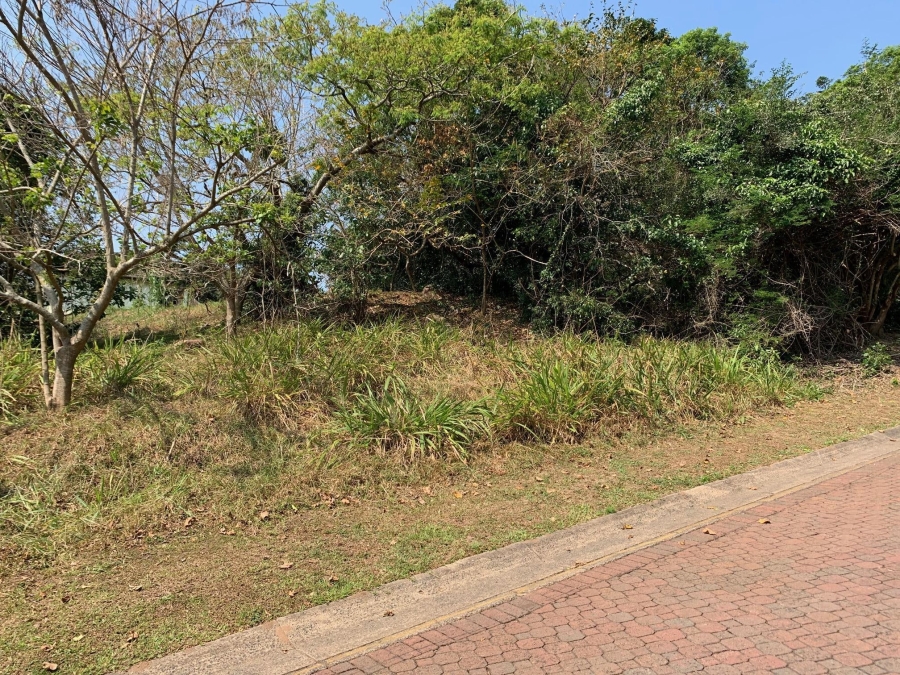 0 Bedroom Property for Sale in Pennington KwaZulu-Natal