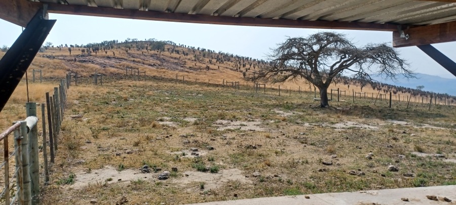 Commercial Property for Sale in Dundee Rural KwaZulu-Natal