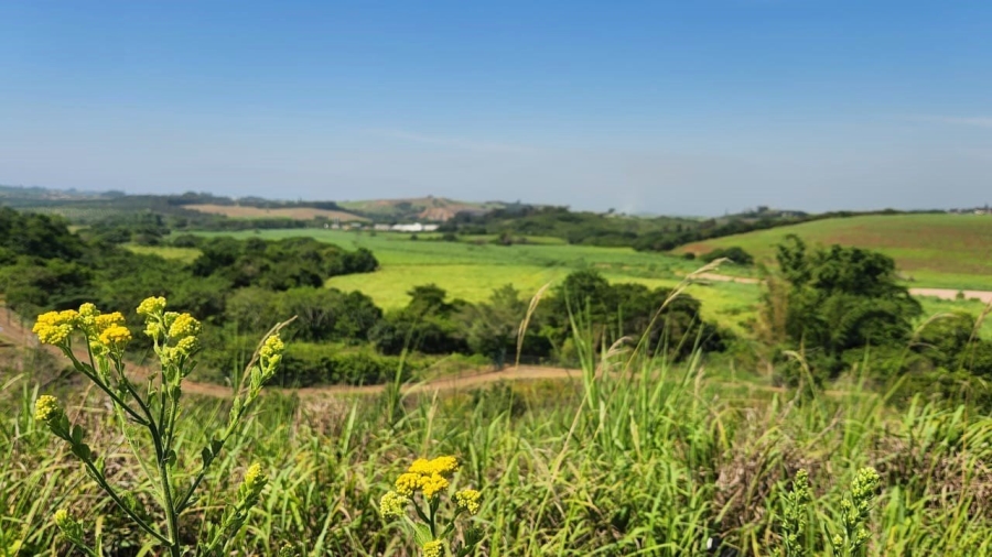 0 Bedroom Property for Sale in Palm Lakes Estate KwaZulu-Natal