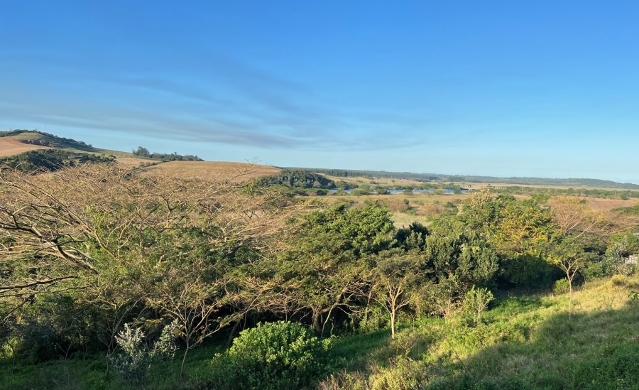 0 Bedroom Property for Sale in Zini River Estate KwaZulu-Natal