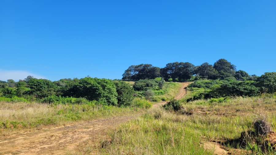 0 Bedroom Property for Sale in New Salt Rock City KwaZulu-Natal