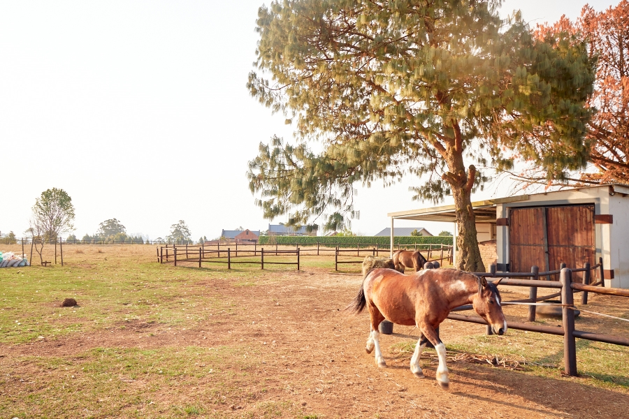 7 Bedroom Property for Sale in Howick Rural KwaZulu-Natal