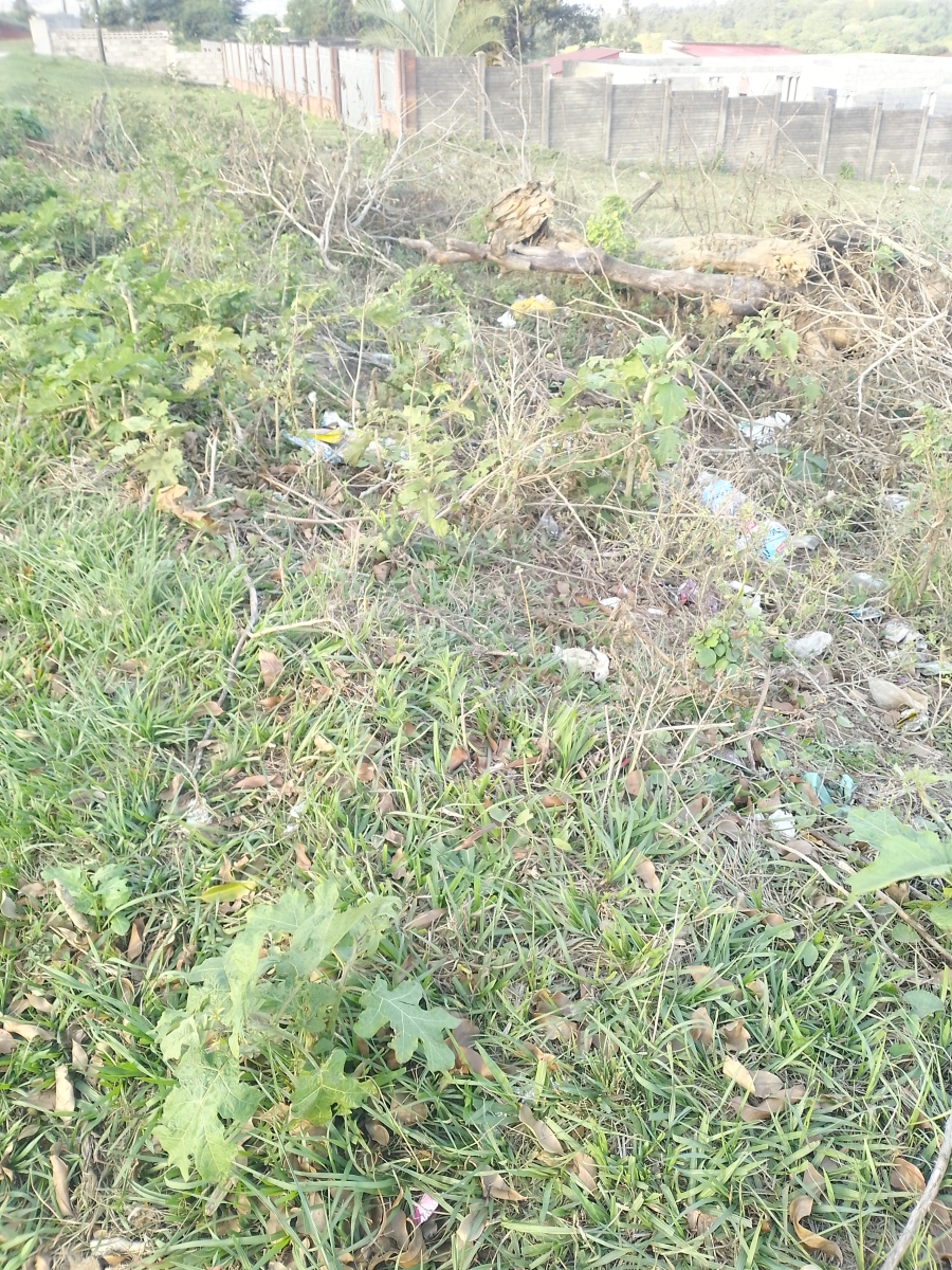0 Bedroom Property for Sale in Vulindlela KwaZulu-Natal
