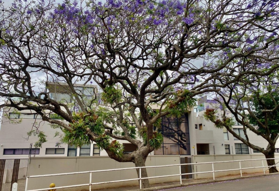 4 Bedroom Property for Sale in Essenwood KwaZulu-Natal