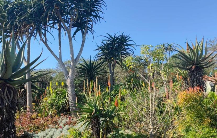 10 Bedroom Property for Sale in Ashburton KwaZulu-Natal