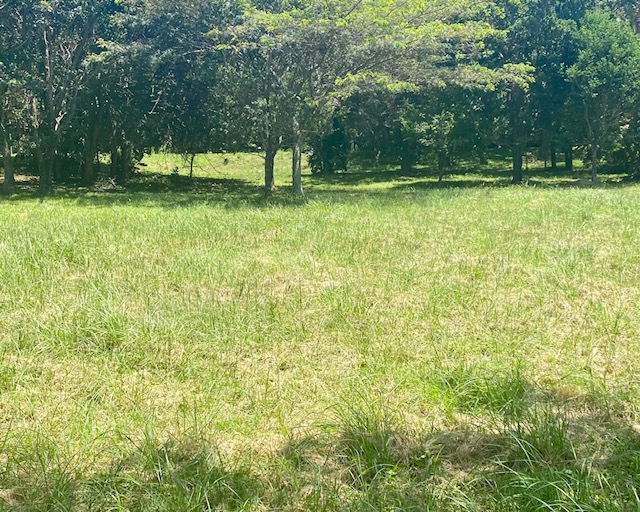 0 Bedroom Property for Sale in Pennington KwaZulu-Natal