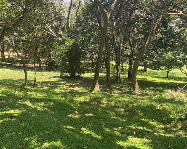 0 Bedroom Property for Sale in Pennington KwaZulu-Natal