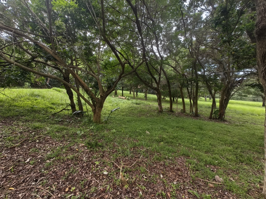 0 Bedroom Property for Sale in Pennington KwaZulu-Natal