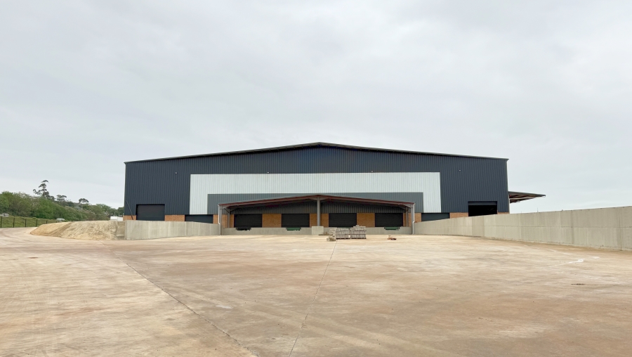 Commercial Property for Sale in Springfield KwaZulu-Natal