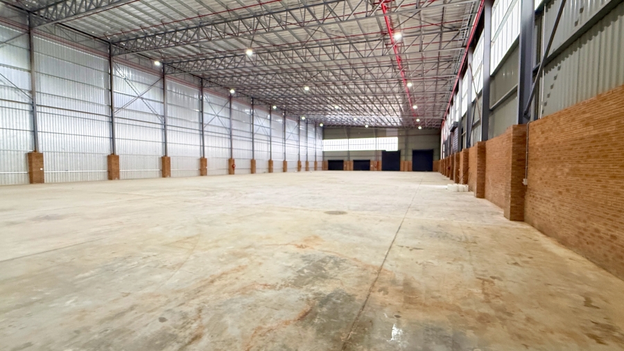 Commercial Property for Sale in Springfield KwaZulu-Natal
