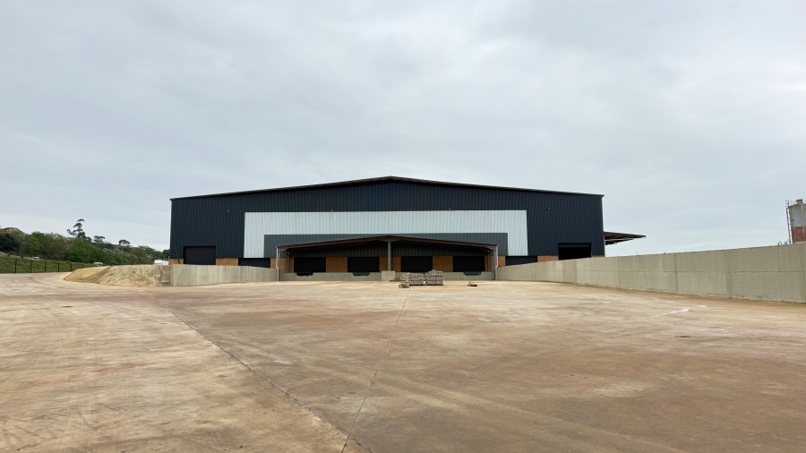 To Let commercial Property for Rent in Springfield KwaZulu-Natal