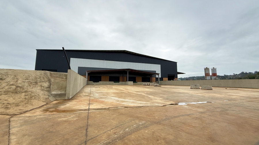 To Let commercial Property for Rent in Springfield KwaZulu-Natal