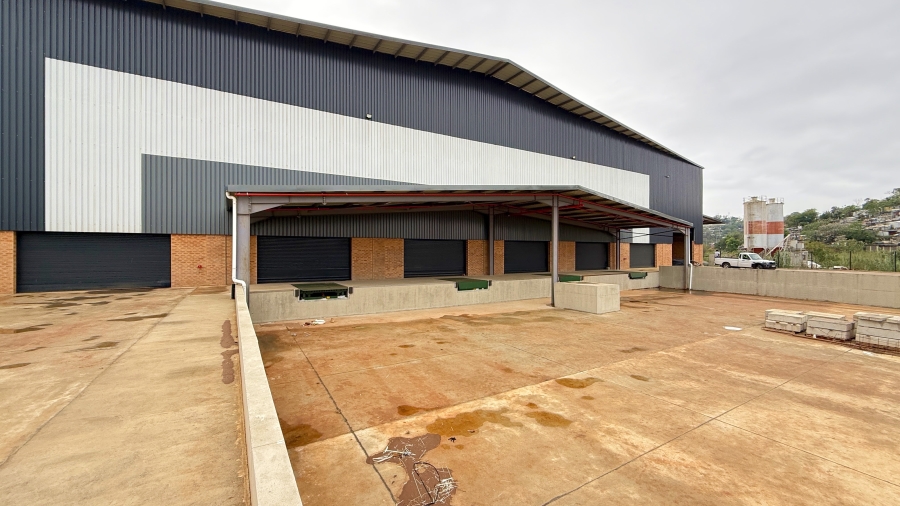To Let commercial Property for Rent in Springfield KwaZulu-Natal