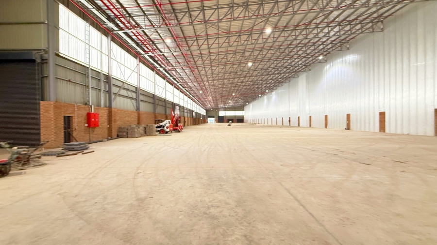 To Let commercial Property for Rent in Springfield KwaZulu-Natal