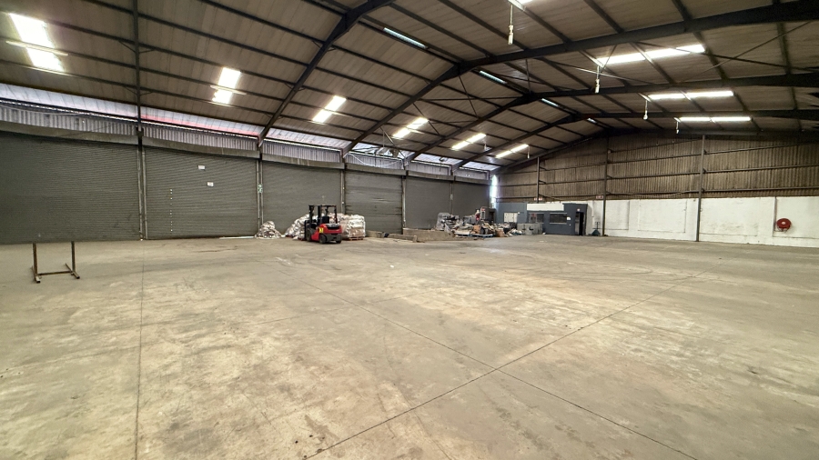 To Let commercial Property for Rent in Springfield KwaZulu-Natal