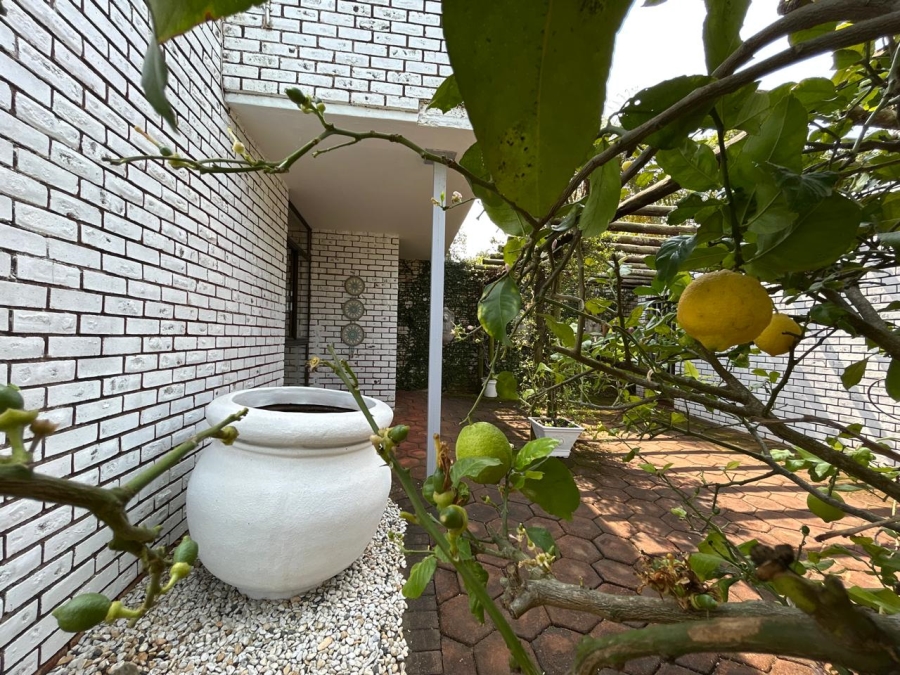 4 Bedroom Property for Sale in Mtunzini KwaZulu-Natal