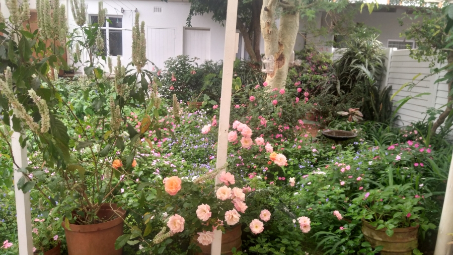 4 Bedroom Property for Sale in Windermere KwaZulu-Natal