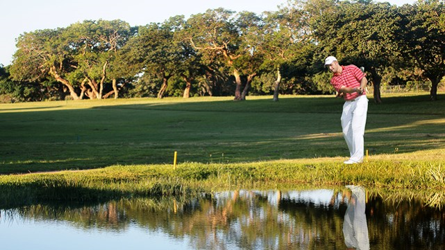 To Let commercial Property for Rent in Mzingazi Golf Estate KwaZulu-Natal