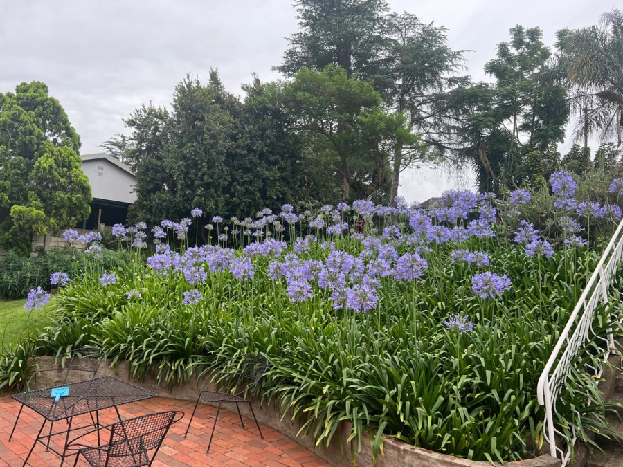 5 Bedroom Property for Sale in Hayfields KwaZulu-Natal