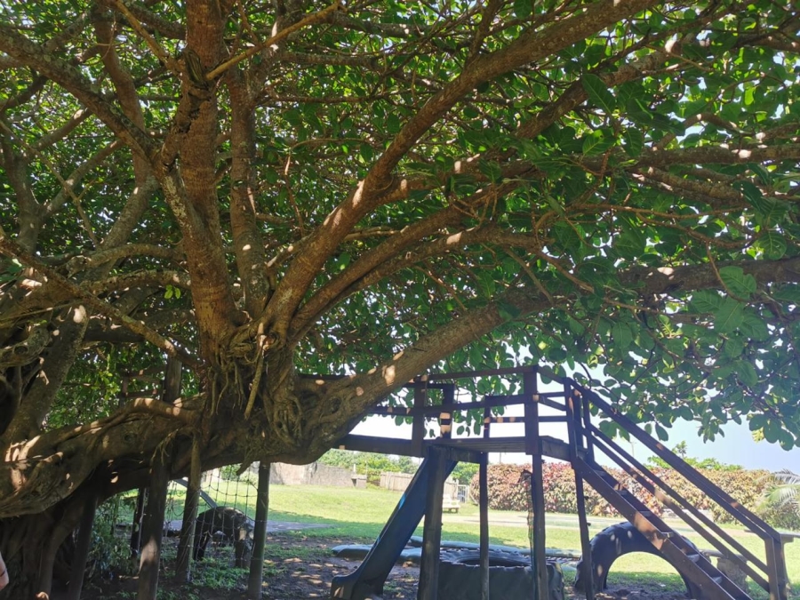 Commercial Property for Sale in Tugela Mouth KwaZulu-Natal