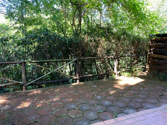 To Let 3 Bedroom Property for Rent in Chase Valley Downs KwaZulu-Natal