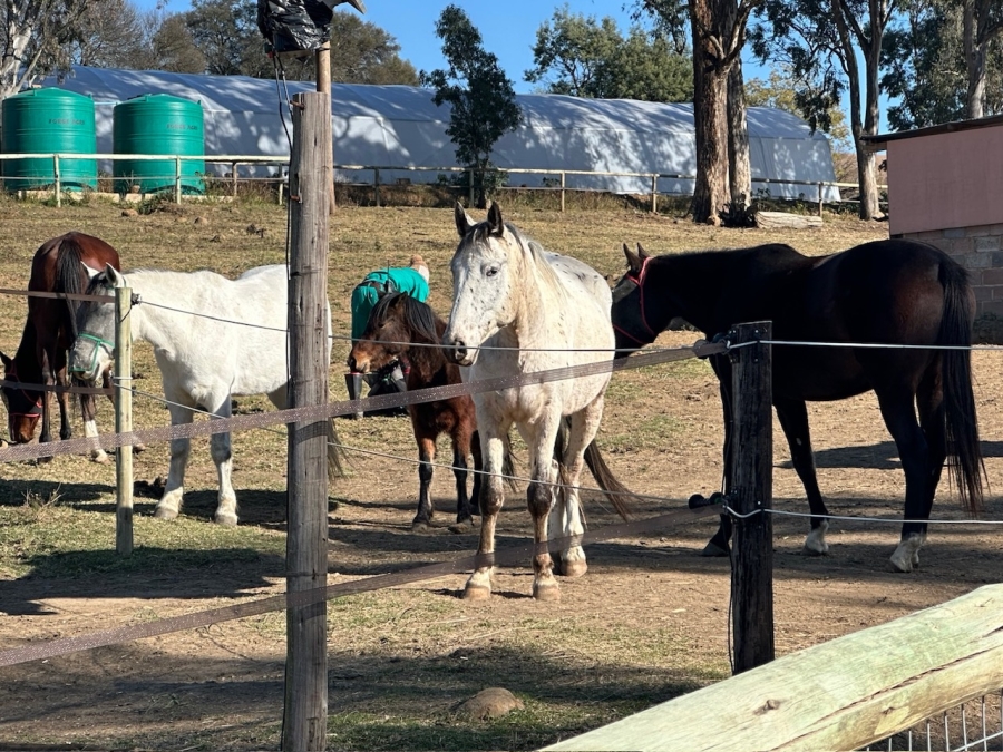 Commercial Property for Sale in Mpofana KwaZulu-Natal