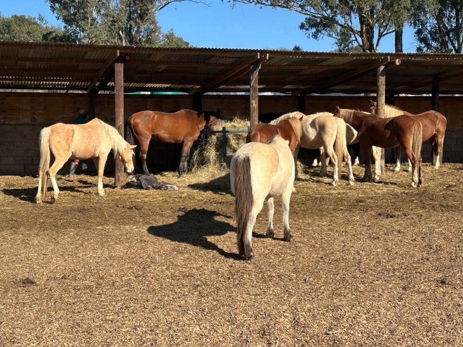 Commercial Property for Sale in Mpofana KwaZulu-Natal