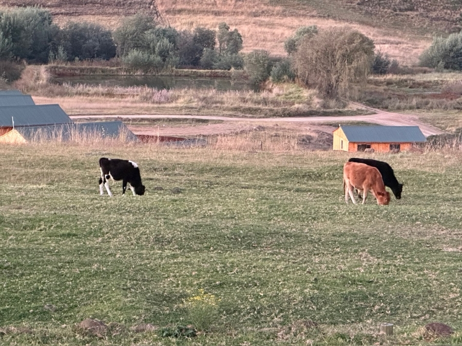 Commercial Property for Sale in Mpofana KwaZulu-Natal