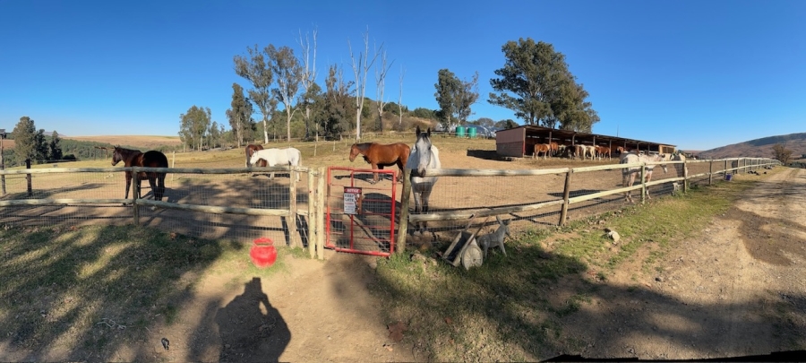 Commercial Property for Sale in Mpofana KwaZulu-Natal