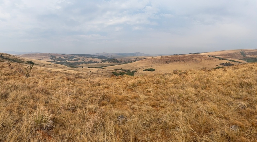 Commercial Property for Sale in Mpofana KwaZulu-Natal