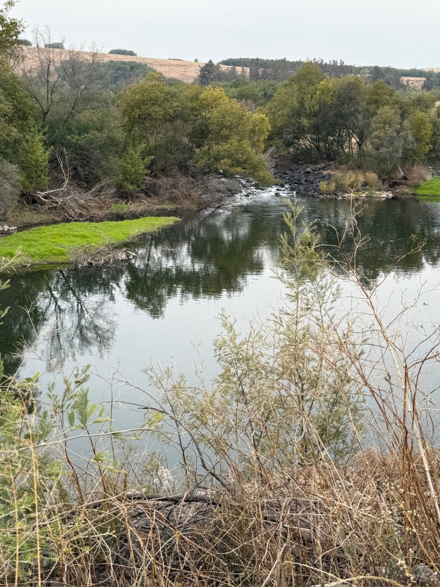 Commercial Property for Sale in Mpofana KwaZulu-Natal