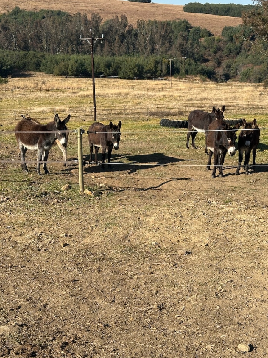 Commercial Property for Sale in Mpofana KwaZulu-Natal