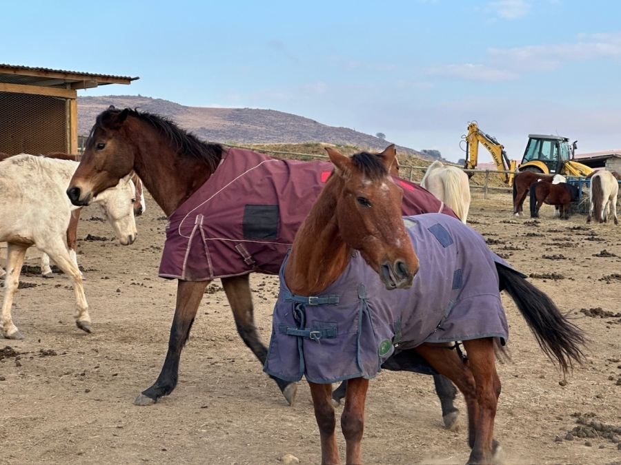 Commercial Property for Sale in Mpofana KwaZulu-Natal