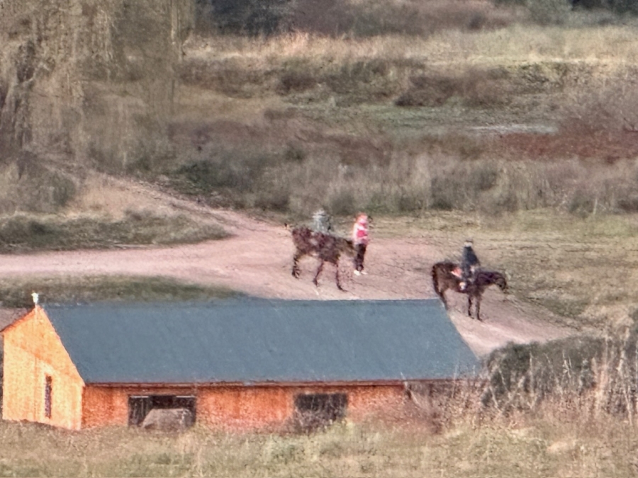 Commercial Property for Sale in Mpofana KwaZulu-Natal