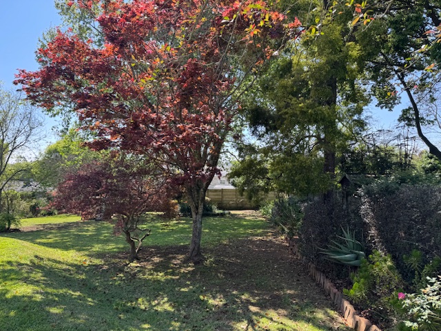 To Let 4 Bedroom Property for Rent in Hilton Central KwaZulu-Natal