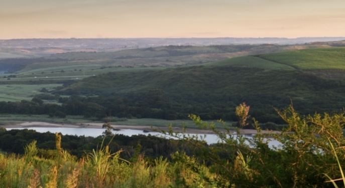 0 Bedroom Property for Sale in Sibaya Precinct KwaZulu-Natal