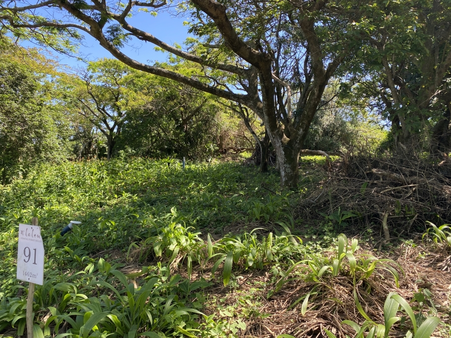 0 Bedroom Property for Sale in Elaleni Coastal Forest Estate KwaZulu-Natal
