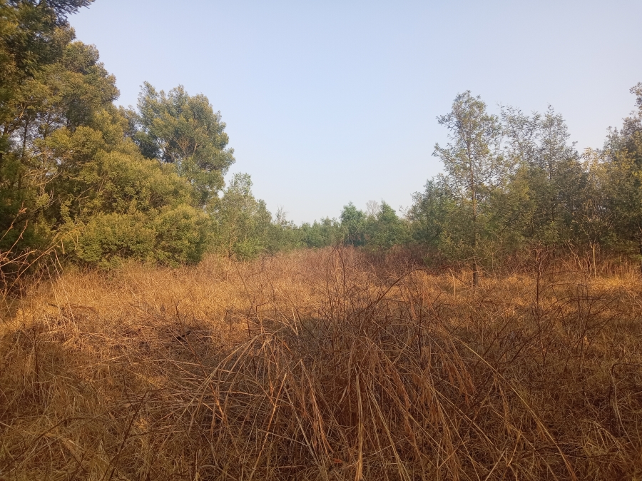 4 Bedroom Property for Sale in Vryheid KwaZulu-Natal