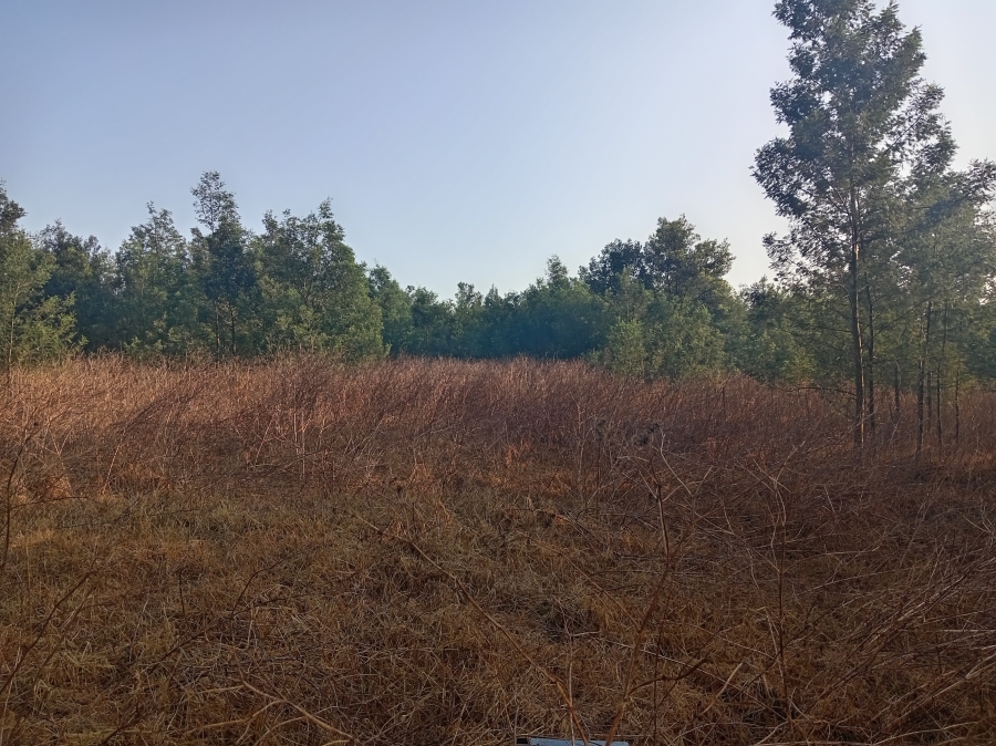 4 Bedroom Property for Sale in Vryheid KwaZulu-Natal