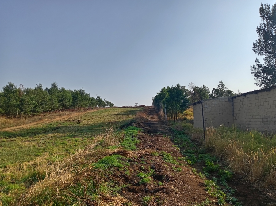 4 Bedroom Property for Sale in Vryheid KwaZulu-Natal