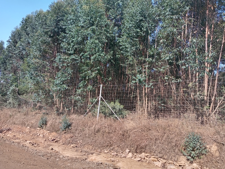 4 Bedroom Property for Sale in Vryheid KwaZulu-Natal